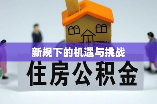 静海新规下的机遇与挑战