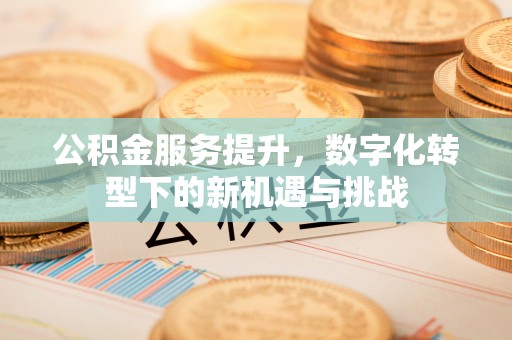 静海公积金服务提升，数字化转型下的新机遇与挑战