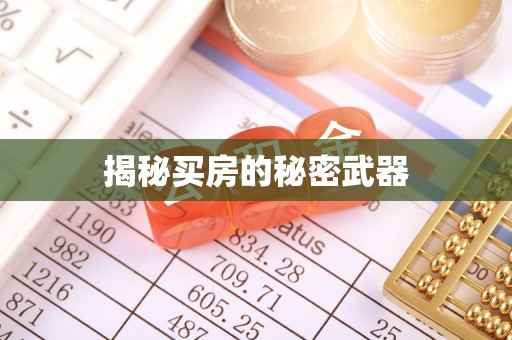静海揭秘买房的秘密武器