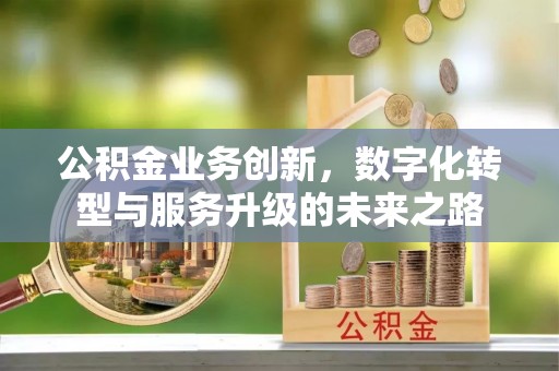 静海公积金业务创新，数字化转型与服务升级的未来之路